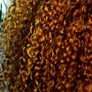 Meet your Posher, Alanis